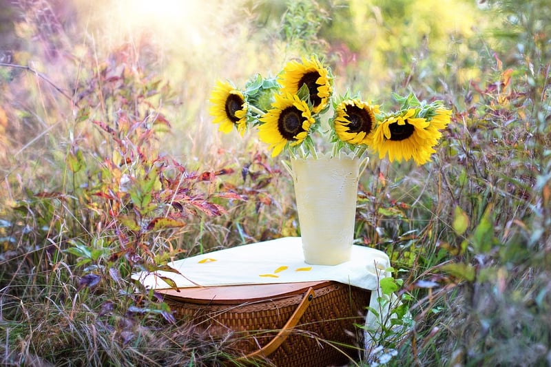 Outdoor Botanical Art